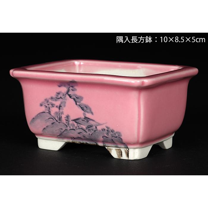 ミニ盆栽鉢 桑津香石 絵鉢 長方形 岩波 鳥 かもめ 小品盆栽 送料無料