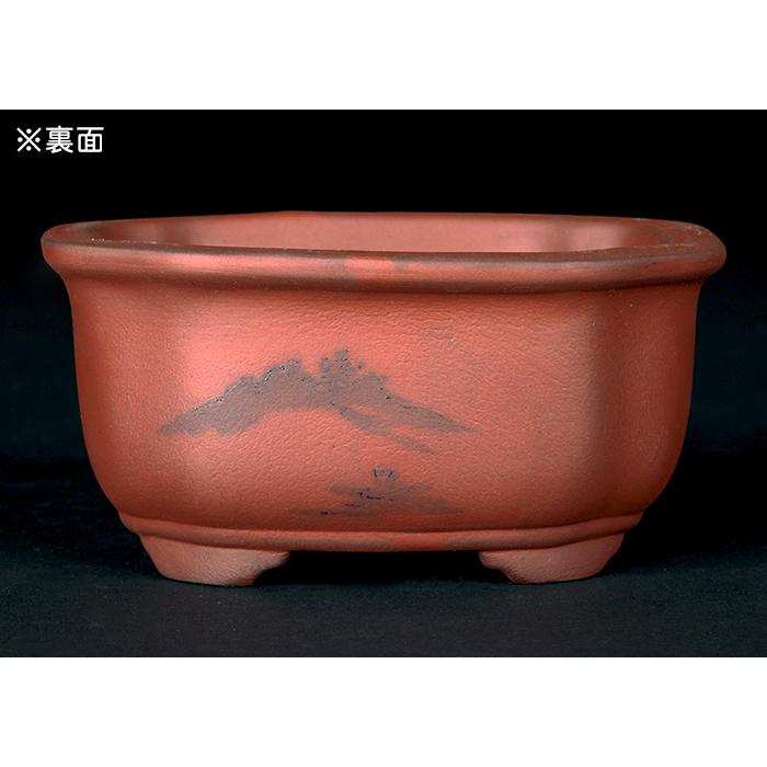 盆栽鉢 「瀬戸焼文山窯朱泥絵付鉢4点セット」 植木鉢 絵鉢 泥鉢 焼締 3