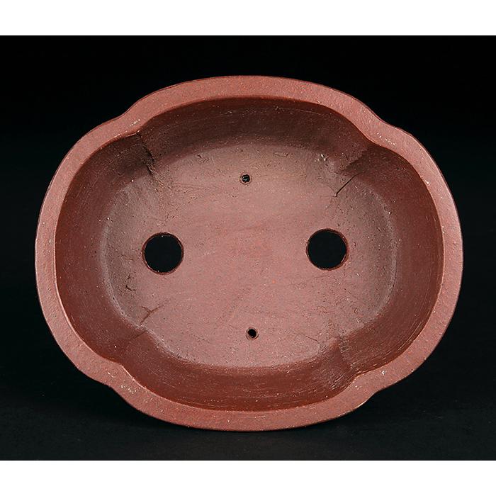 盆栽鉢 柴勝外縁木瓜式鉢 常滑 泥鉢 5号 紫泥 朱泥 小品盆栽 ミニ盆栽