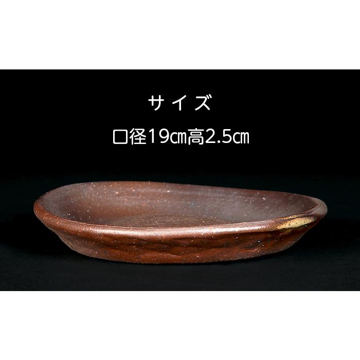 盆栽鉢 南蛮丸鉢 ナンバン 皿型 常滑 レイホウ 泥鉢 6号 19cm 小品盆栽