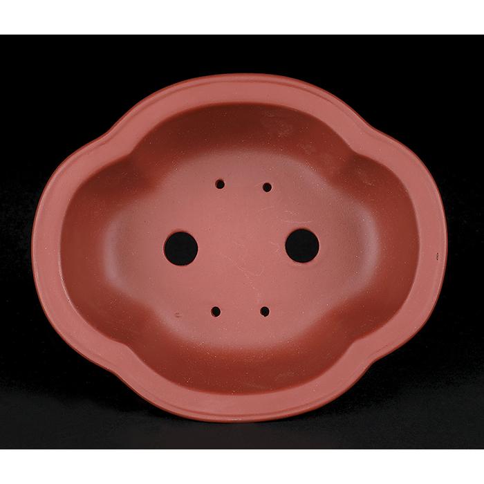 盆栽鉢 紫泥外縁木瓜式鉢 朱泥 植木鉢 中国鉢 泥鉢 陶器 6号 19cm