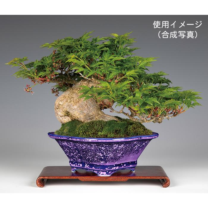 紫砂の鉢 高い底の碗型鉢 盆栽鉢 植木鉢 小品盆栽鉢 大