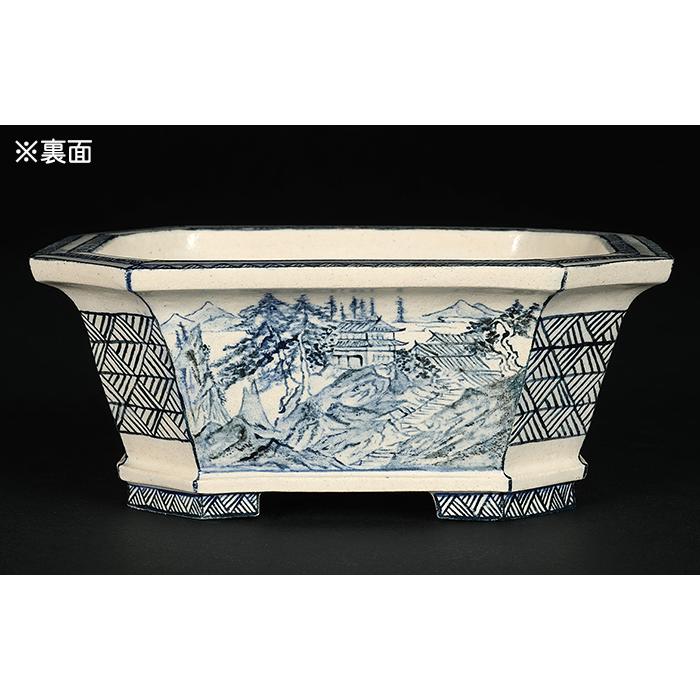 盆栽鉢 絵鉢 長方 盆栽鉢 絵鉢 長方