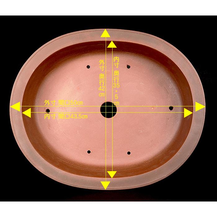 盆栽鉢 紫泥外縁下紐楕円鉢 植木鉢 中国鉢 張氏製陶 落款あり 17号