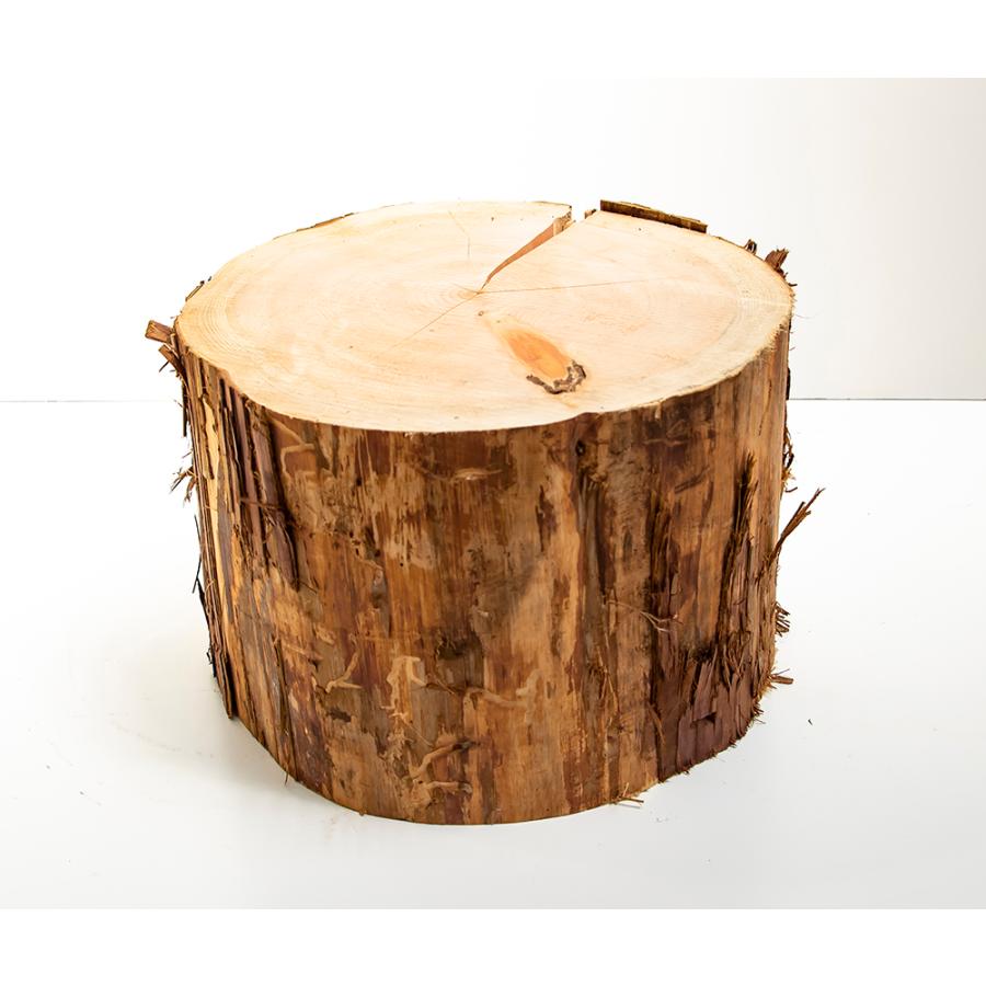 3104 檜 大型 切り株 丸太 テーブル スツール 高さ約42.5cm 3104 檜