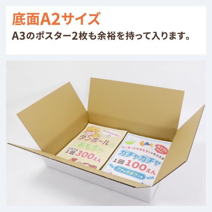 アースダンボール ダンボール 段ボール箱 120サイズ A2 薄型 宅配 発送