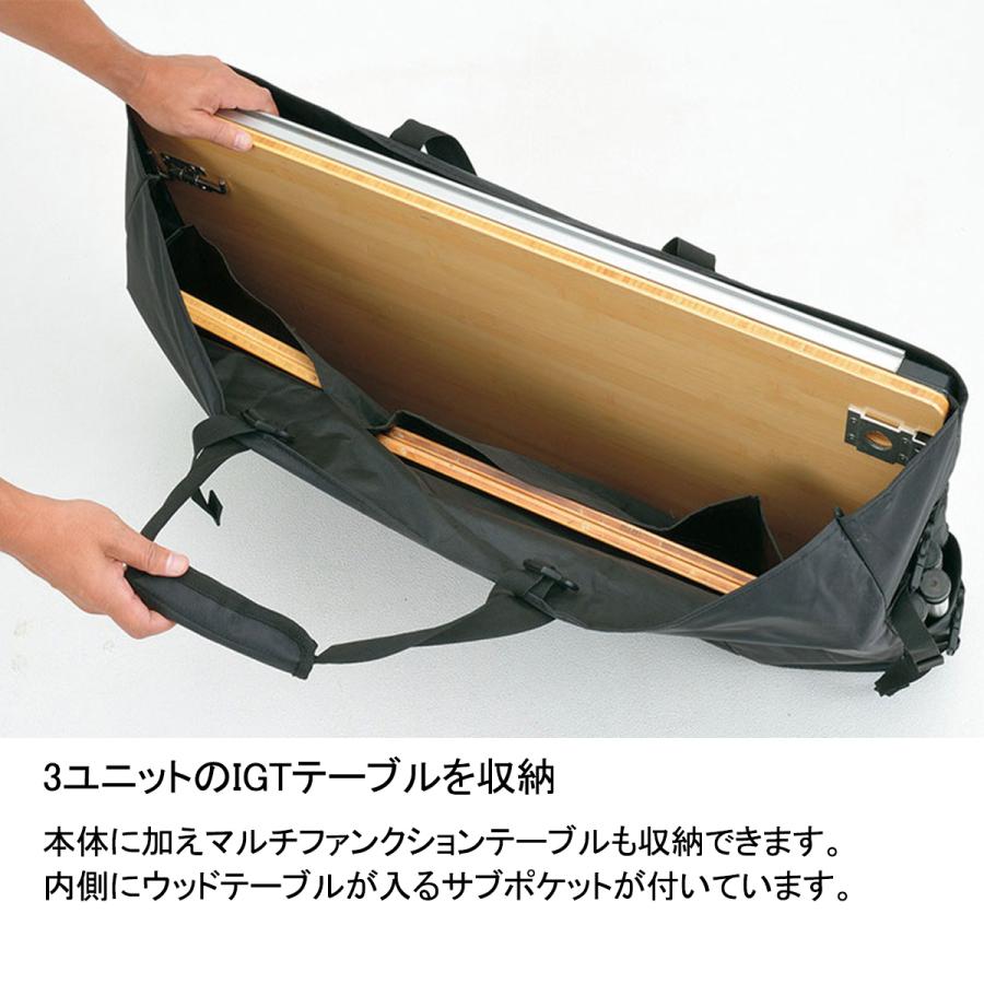 snow peak（スノーピーク） ギアトートM (BG-016) ／ キャリーバッグ