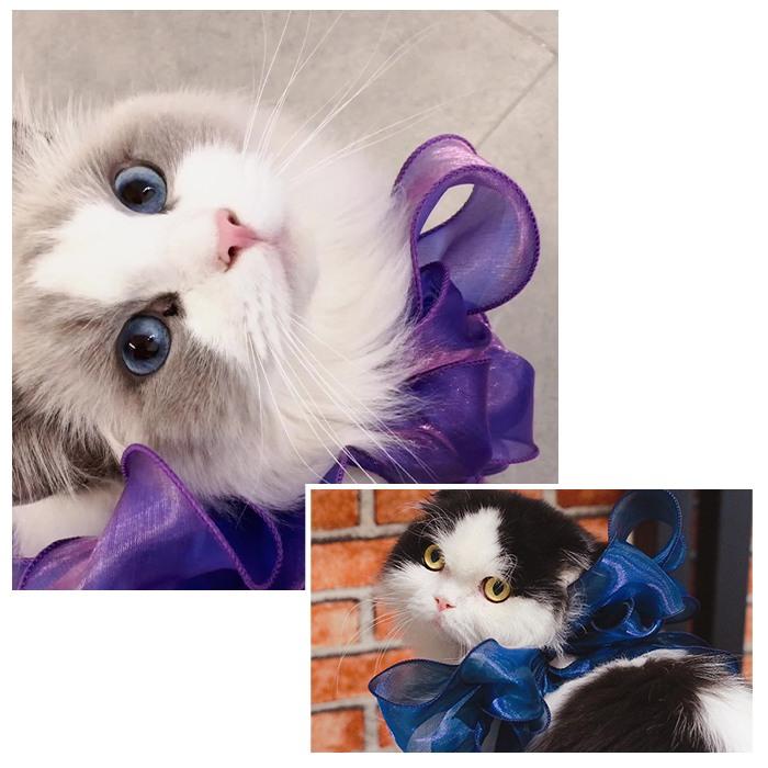 和風ロリータ(藍色)わんちゃん猫ちゃん用襟つき首輪