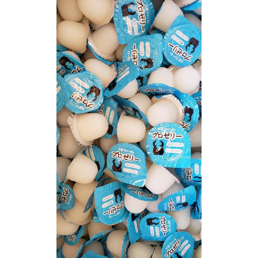 プロゼリー16g 1袋50個入 KBファーム 昆虫飼育 カブトムシ