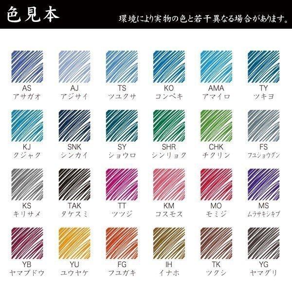 PILOT（パイロット） INK-50-TS 万年筆インキ iroshizuku（色彩雫