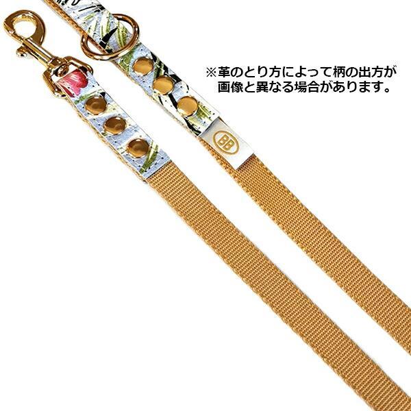 バディベルト BB バハマ 5号 アクセントリード BBアクセントレザー