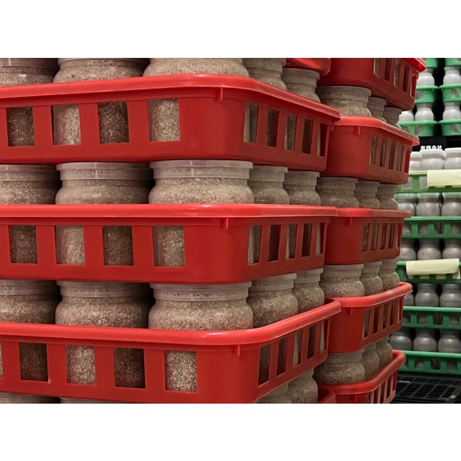 菌糸ビン 高品質 高性能 BREED 1500ml 1本 ブリード 菌糸瓶 菌床