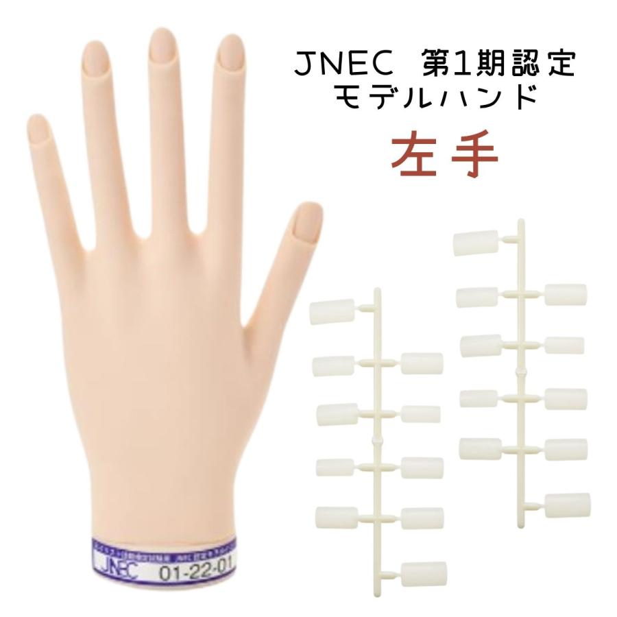 滝川（TAKIGAWA） JNEC認定ハンド STモデルハンド 左手 ネイルチップ