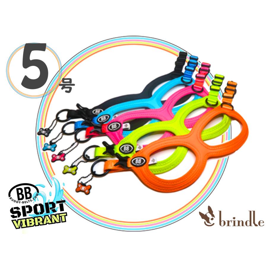 バディーベルト 5号 BB SPORT (BBスポーツ) Vibrant BUDDY BELTS