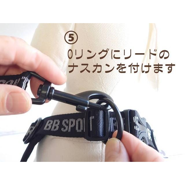 バディーベルト 3.5号 BB SPORT (BBスポーツ) Vibrant BUDDY BELTS