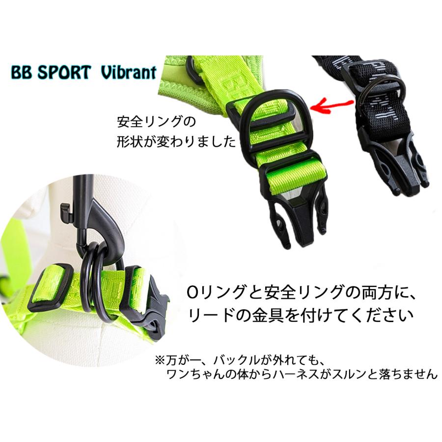 バディーベルト 3号 BB SPORT (BBスポーツ) Vibrant BUDDY BELTS
