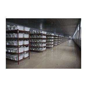 冷凍アダルトラットM (約100〜120g) 10匹入り【クール便発送】猛禽類