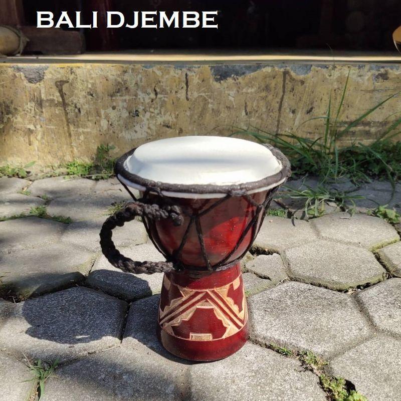 木製パーカッション 楽器 打面30センチジャンベ 木製パーカッション