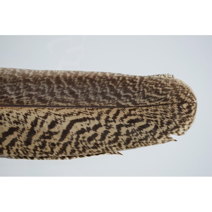 茶道具 羽箒 炉用 左羽根 孔雀 茶道 t tz05-053 : 月香園アウトレット