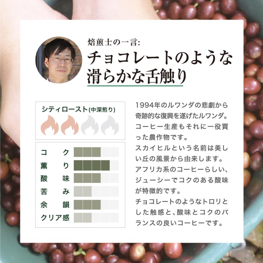 DRIP TRIP 生豆 ルワンダ スカイヒル コーヒー 珈琲 1kg 2kg 5kg