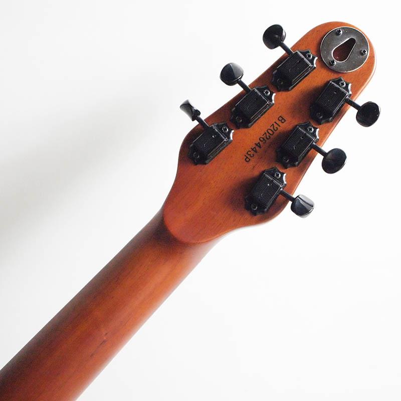 ESP/Charプロデュース BambooInn-C バンブーイン : 楽器de元気 - 通販