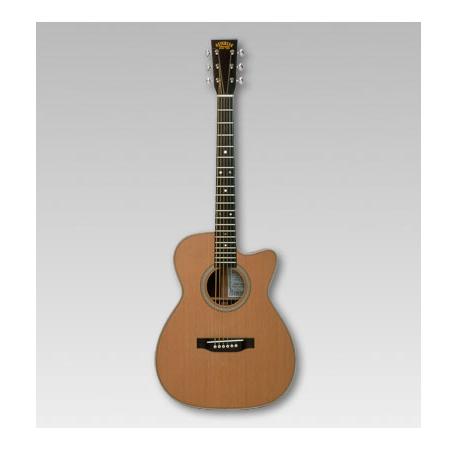 ASTURIAS アコースティック SOLO STANDARD/C〈アストリアス〉 : 楽器de