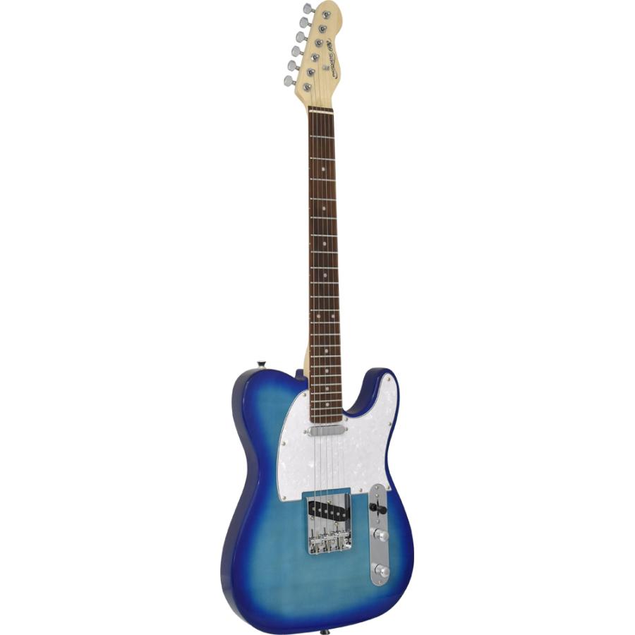 美品 Triumph TL Type エレキギター おまけ付き 美品 Triumph TL Type