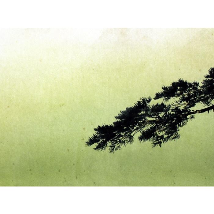 大竹卓先生 富士掛け軸 大竹 卓 『富士』 掛軸(尺八横) 絵画 日本画