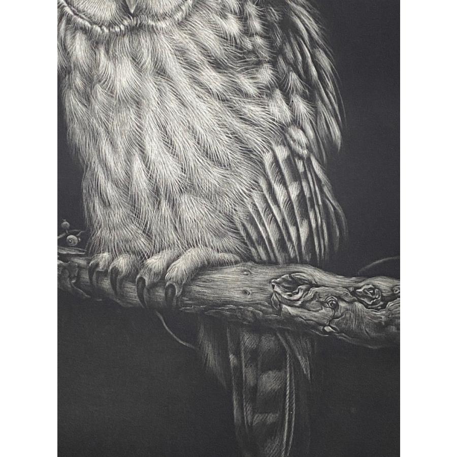 生田宏司「夢想夜」銅版画 メゾチント 額装 サインあり ふくろう 梟