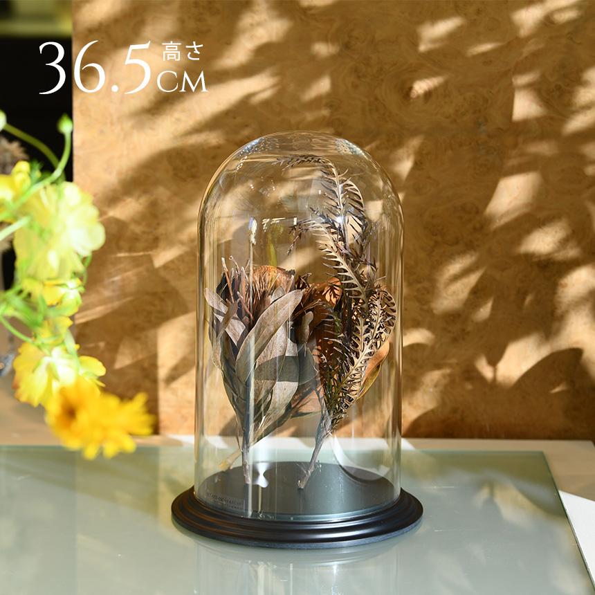 Clay（クレイ） 割れにくい 透明 飾り ドーム ディスプレイ