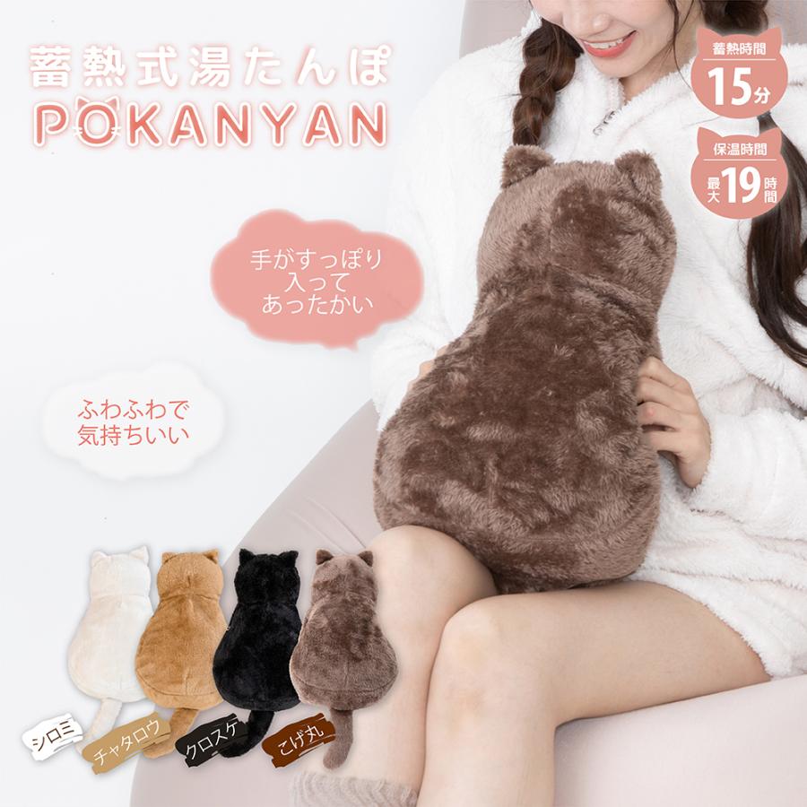 GLOBAL JAPAN（グローバル・ジャパン） 湯たんぽ 充電式 湯タンポ 蓄熱