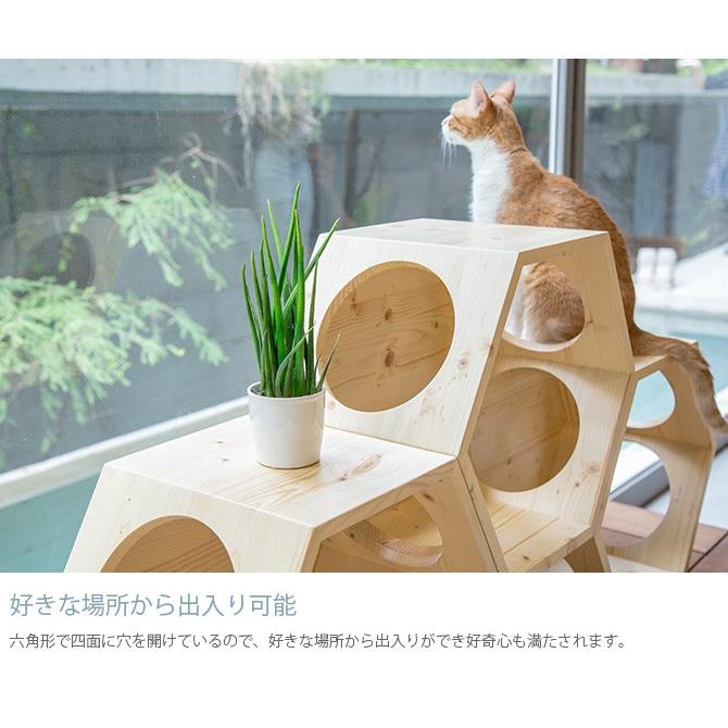 猫 キャットステップ キャットウォーク 六角 木製 MYZOO マイズー Busy