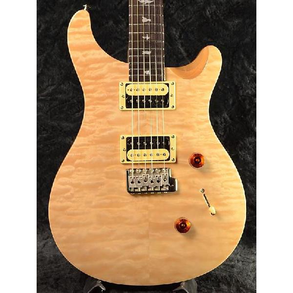 Paul Reed Smith SE Custom 24 with Birds & Beveled Maple Top