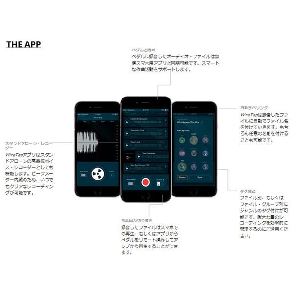 t.c.electronic Wiretap Riff Recorder コンパクトリフレコーダー