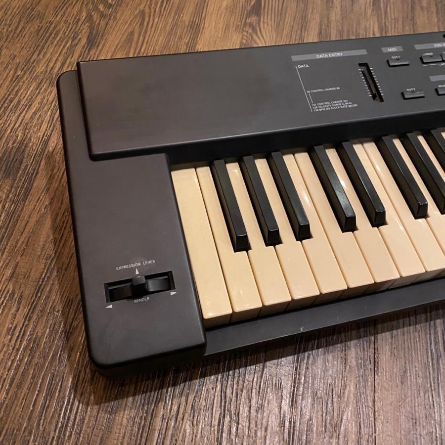 ローランド（Roland） Roland A-33 MIDI Keyboard キーボード