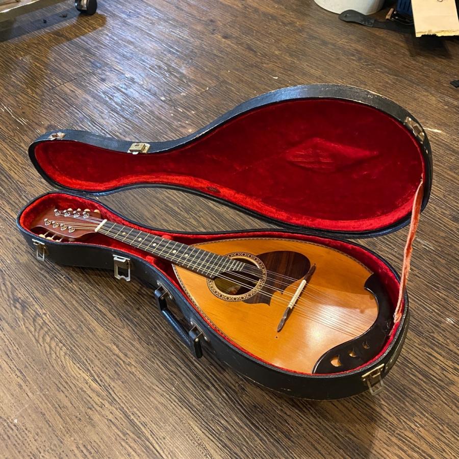 アンティーク SUZUKI M-210 マンドリン 5弦 弦楽器 民族楽器