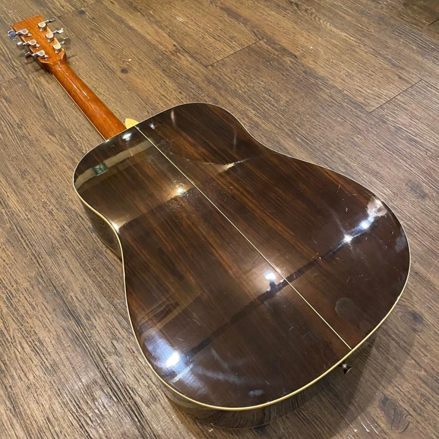 ARIA（アリア） Aria ADW-200R Acoustic Guitar アコースティック