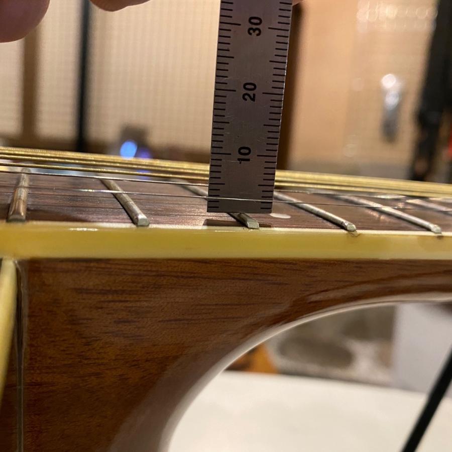 ARIA（アリア） Aria ADW-200R Acoustic Guitar アコースティック