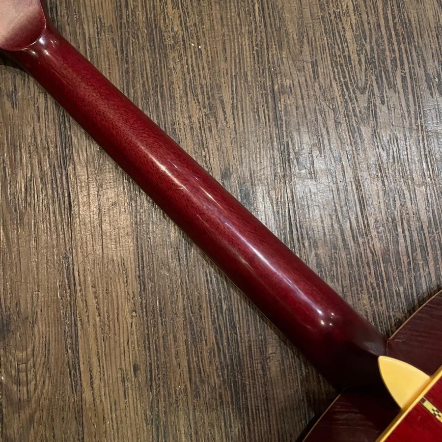 Morris Morris WD-30 Acoustic Guitar アコースティックギター