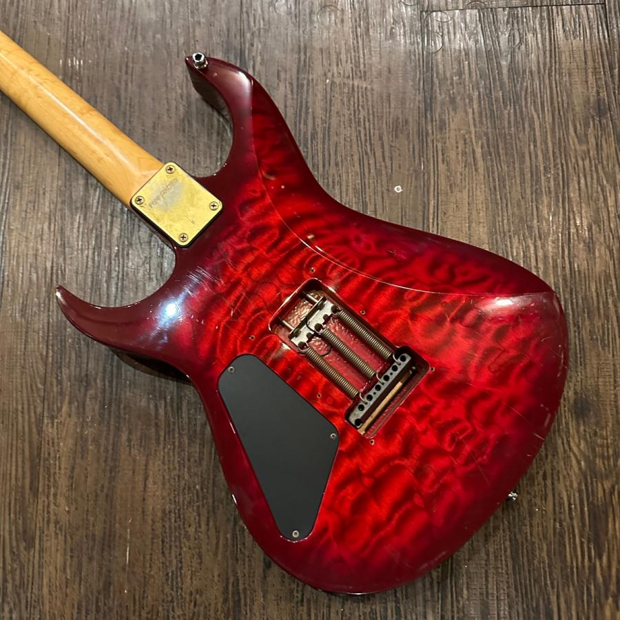 FERNANDES（フェルナンデス） Fernandes FGZ-400 Electric Guitar