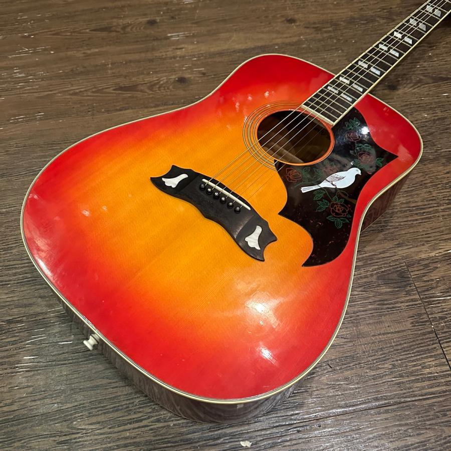 MORRIS モーリス W-35 寺田楽器 アコースティックギター W-35 | 生産