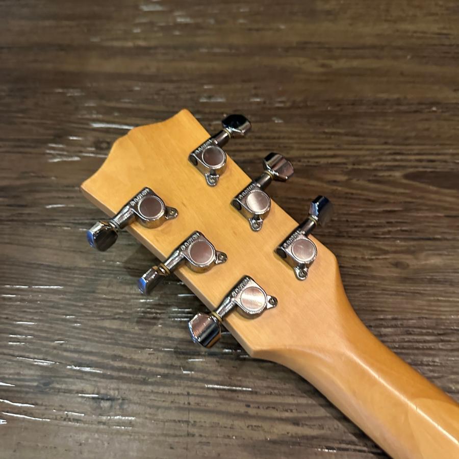 FERNANDES（フェルナンデス） Burny LG-480 Les Paul Type Electric