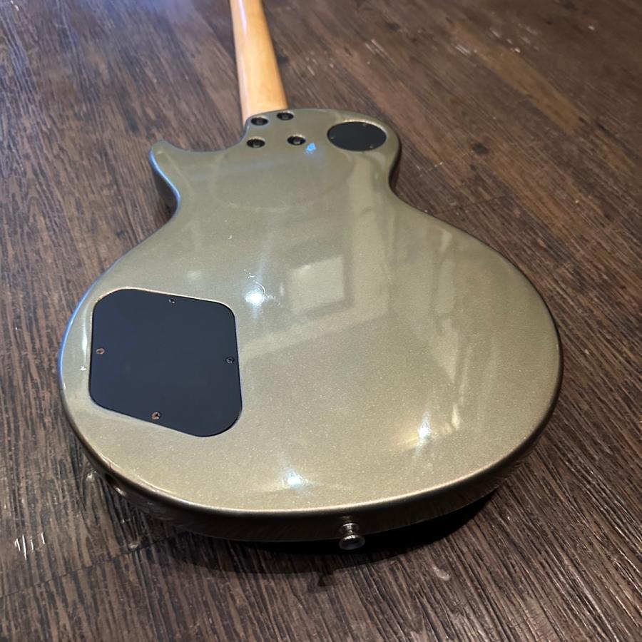 FERNANDES（フェルナンデス） Burny LG-480 Les Paul Type Electric