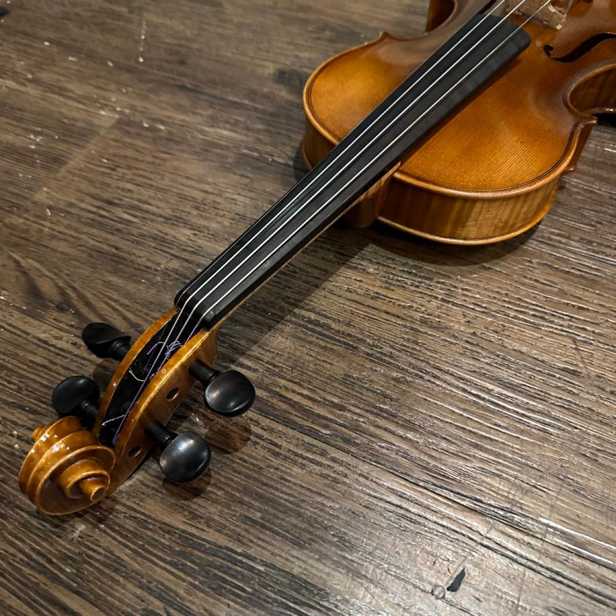 Roderich Paesold PA802J ローデリヒ・ペゾルト 4/4 Violin ドイツ製