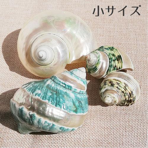 ガラス工芸 巻き貝の置物 ガラス工芸 巻き貝の置物