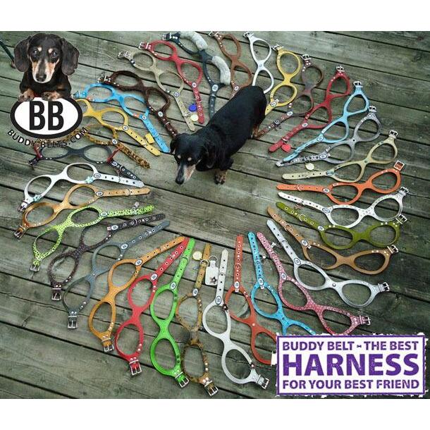 獣医師推奨 BBハーネス バディーベルト 3.5号 ペット 犬 レザー 本革