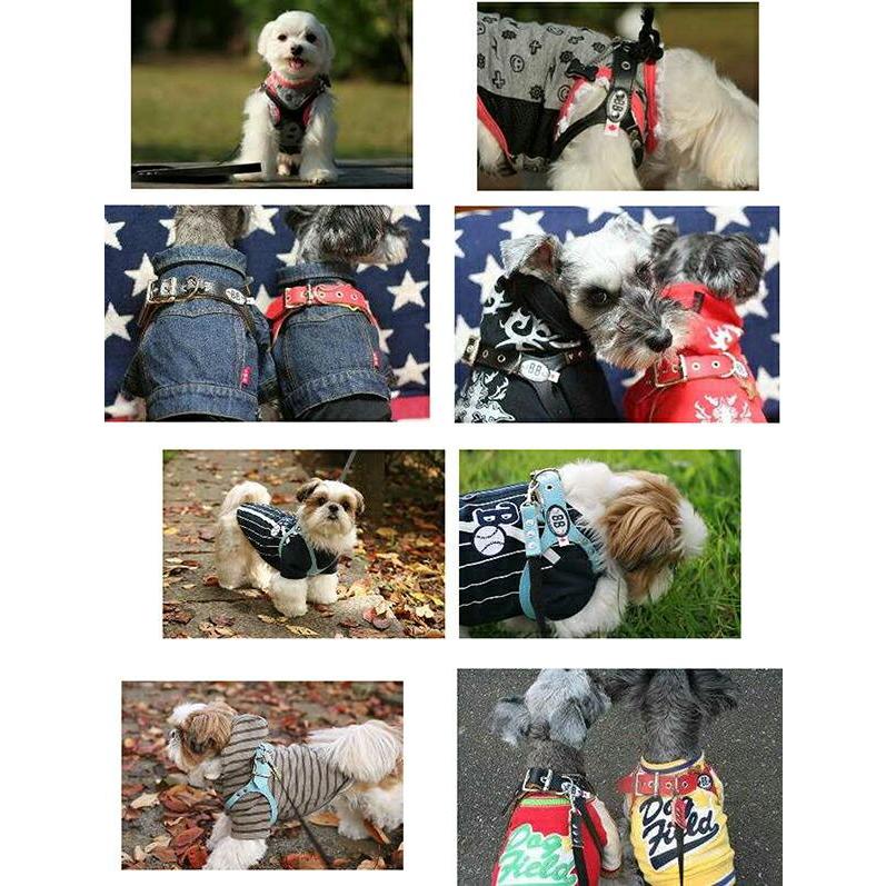 獣医師推奨 BBハーネス バディーベルト 3号 BUDDY BELT BUDDYBELT