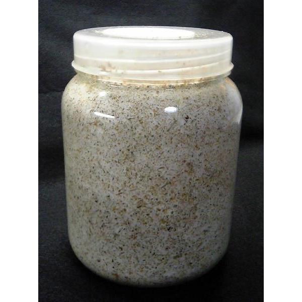 送料込み！オオクワガタ専用 菌糸ビン830ml×5本セット（菌糸入り