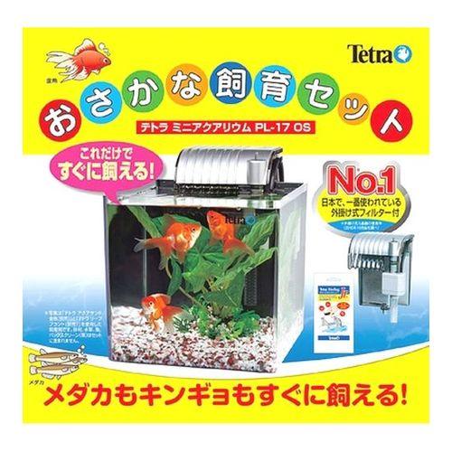 海水魚 飼育セット一式 引取り限定 東京荒川区 海水魚 飼育セット一式