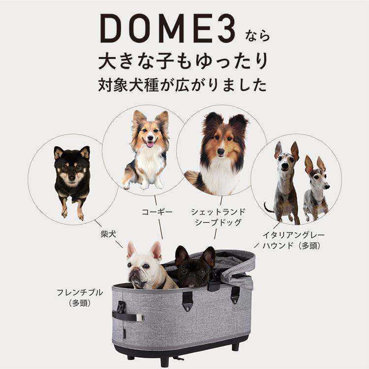 DOME エアバギー ドーム3 ラージ セット品 DOME3 LARGE 特典あり